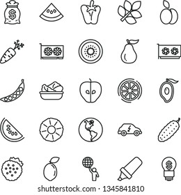 thin line vector icon set - lettuce in a plate vector, cucumber, peper, strawberries, apple, tasty, slice of water melon, half mango, kiwi, sour lime, lemon, pineapple, ripe guava, carrot, peas