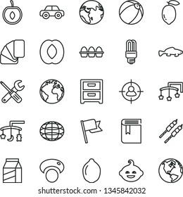 thin line vector icon set - sign of the planet vector, book, toys over cradle, cot, baby bath ball, motor vehicle, funny hairdo, small tools, sample colour, flag, nightstand, package, bundle eggs