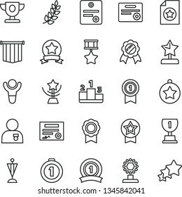 thin line vector icon set - pedestal vector, medal, patente, winner, laurel branch, prize, award, cup, star, reward, man with, pennant, first place, ribbon, hero, certificate, flag, three stars