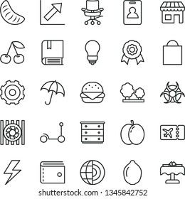 thin line vector icon set - truck lorry vector, lightning, paper bag, purse, growth chart, chest of drawers, Kick scooter, e, bulb, umbrella, big burger, cherry, apple, slice tangerine, lime, trees