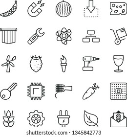 thin line vector icon set - cordless drill vector, key, flowchart, shipment, move down, piece of cheese, noodles, carrot, glass, mint, tasty raspberry, water melon, peas, leaf, wind energy, plug