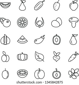 thin line vector icon set - eggs vector, mushroom, carrot, blueberries, apple, pear, red, tasty mulberry, delicious plum, water melon slice, half cherry, passion fruit, juicy lemon, of grapefruit