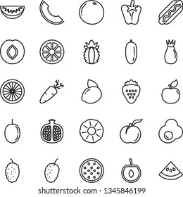 thin line vector icon set - Hot Dog vector, peper, carrot, fried egg, strawberry, ripe peach, half pomegranate, apricot, plum, rose hip, mulberry, tasty, slice of melon, water, date fruit, cherry