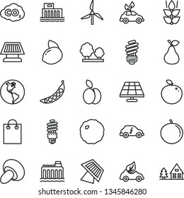 thin line vector icon set - saving light bulb vector, porcini, cabbage, apple, pear, mint, tangerine, yellow lemon, delicious, peas, solar panel, windmill, planet Earth, hydroelectric station, trees