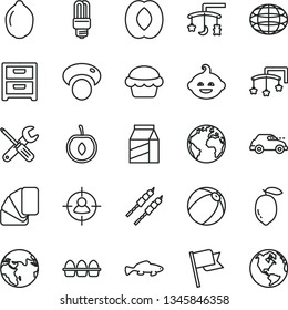 thin line vector icon set - sign of the planet vector, toys over cradle, cot, baby bath ball, funny hairdo, small tools, sample colour, flag, nightstand, package, bundle eggs, cake, barbecue, fish