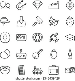 thin line vector icon set - paint roller vector, stepladder, key, helmet, case, square academic hat, move down, eggs, torte, bottle of soda, half medlar, blackberry, peach, kiwi, tamarillo, tomato