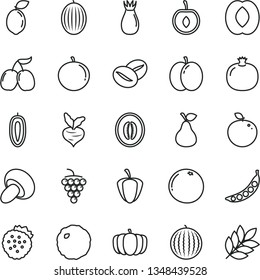 thin line vector icon set - porcini vector, cabbage, coffee beans, strawberries, pear, apple, pomegranate, large grape, rose hip, tasty cornels, melon, water, half peach, tangerine, cherry, beet