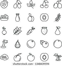 thin line vector icon set - lettuce in a plate vector, beet, blueberries, strawberries, apple, pear, orange, cherry, ripe peach, half apricot, plum, rose hip, cornels, tasty raspberry, delicious