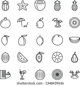 thin line vector icon set - a pineapple vector, orange slice, pomegranate, melon, water, mango, half of, loquat, passion fruit, kiwi, guava, piece coconut, ripe, grapefruit, part, hotel, palm tree