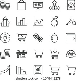 thin line vector icon set - paper bag vector, purse, graph, negative histogram, positive, cart, put in, crossed, coins, blueberry, tamarillo, oil, stall, shopping, goal woman, a crisis, season sale