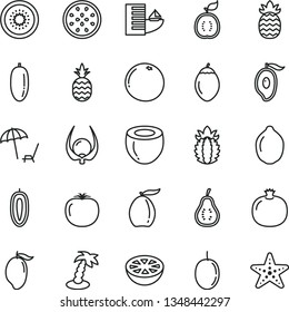 thin line vector icon set - a pineapple vector, pomegranate, mango, half of, loquat, date fruit, passion, sweet, lime, kiwi, tamarillo, guawa, coconut, ripe, grapefruit, part guava, physalis, hotel