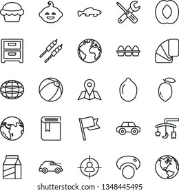 thin line vector icon set - sign of the planet vector, book, toys over cradle, baby bath ball, motor vehicle, funny hairdo, small tools, sample colour, map, flag, nightstand, package, bundle eggs