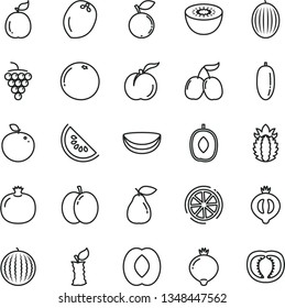thin line vector icon set - ripe peach vector, apple, pomegranate, large grape, pear, medlar, half of, blueberry, tasty cornels, melon, water, slice, delicious plum, date fruit, kiwi, lemon, guava
