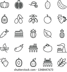 thin line vector icon set - garden trolley vector, tomato, carrot, a pineapple, half pomegranate, grape, branch of, cornels, mulberry, goji berry, delicious plum, slice tangerine, loquat, tasty
