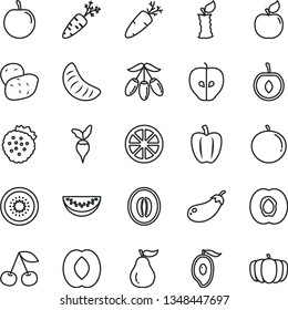 thin line vector icon set - carrot vector, strawberries, cherry, half apricot, tasty apple, of mango, goji berry, peach, melon, water slice, tangerine, plum, juicy lemon, kiwi, ripe guava, stub