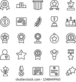 thin line vector icon set - star vector, pedestal, medal, patente, winner, laurel branch, award, cup, reward, man with, first place, pennant, ribbon, hero, certificate, flag, three stars