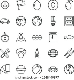 thin line vector icon set - sign of the planet vector, book, baby bath ball, motor vehicle, small tools, sample colour, map, flag, nightstand, bundle eggs, cake, barbecue, fish, liquor, half peach