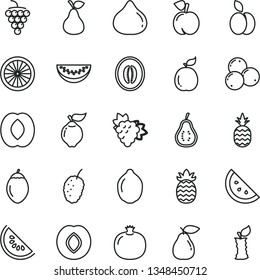 thin line vector icon set - a pineapple vector, apple, pear, orange slice, peach, pomegranate, branch of grape, large, quince, plum, fig, blueberries, tasty mulberry, water melon, half, lime, guava