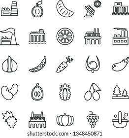 thin line vector icon set - grape vector, large, cornels, slice of tangerine, half loquat, juicy lemon, guawa, ripe pineapple, physalis, garlic, carrot, peas, beans, eggplant, pumpkin, factory