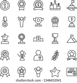 thin line vector icon set - star vector, pedestal, medal, winner, laurel branch, prize, award, cup, gold, reward, man hands up, with, motivation, mountain flag, first place, pennant, ribbon