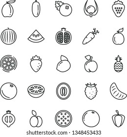 thin line vector icon set - carrot vector, blueberries, strawberry, a pineapple, apple, orange, peach, half pomegranate, raspberry, of medlar, tasty, water melon, loquat, date fruit, slice tangerine