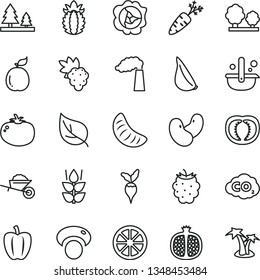 thin line vector icon set - garden trolley vector, tomato, garlic, mint, half pomegranate, grape, squash, blackberry, slice of tangerine, juicy lemon, guava, ripe pineapple, Bell pepper, carrot