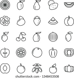 thin line vector icon set - cherry vector, apple, squash, quince, apricot, tasty, raspberry, water melon, loquat, goji berry, half peach, slice, ripe plum, lemon, yellow, juicy, of orange, guava