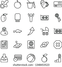 thin line vector icon set - mark of injury vector, dummy, baby carriage, bath ball, children's sand set, yule, passport, put in a box, small fish, branch grape, blueberry, ripe plum, tasty, schedule