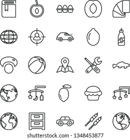thin line vector icon set - sign of the planet vector, book, toys over cradle, cot, baby bath ball, motor vehicle, small tools, sample colour, map, nightstand, bundle eggs, cake, barbecue, fish
