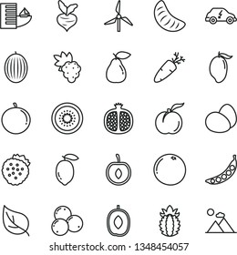 thin line vector icon set - eggs vector, carrot, strawberries, ripe peach, half pomegranate, grape, pear, blueberries, melon, mango, delicious plum, tangerine, slice of, cherry, lemon, kiwi, beet