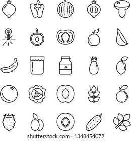 thin line vector icon set - mushroom vector, cucumber, peper, garlic, jam, jar of, apple, orange, mint, squash, plum, rose hip, medlar, half, tasty raspberry, blueberry, water melon, peach, cherry