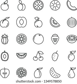 thin line vector icon set - strawberry vector, apple, cherry, peach, ripe, quince, apricot, tasty, mulberry, water melon, slice of, loquat, delicious plum, half, tangerine, juicy lemon, pineapple