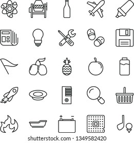 thin line vector icon set - grocery basket vector, wind direction indicator, bath, child shoes, concrete mixer, small tools, bulb, magnifier, a plate of milk, pineapple, tasty cornels, plum, floppy