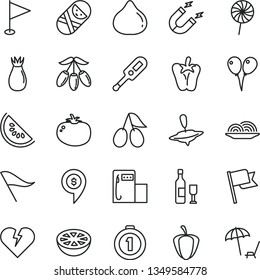 thin line vector icon set - wind direction indicator vector, pennant, electronic thermometer e, tumbler, colored air balloons, broken heart, flag, onion, tomato, peper, lollipop, cornels