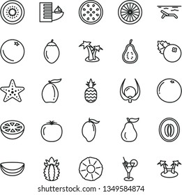 thin line vector icon set - blueberries vector, a pineapple, orange, mango, loquat, half melon, of kiwi, passion fruit, tamarillo, piece coconut, ripe, slice, grapefruit, guava, part, physalis