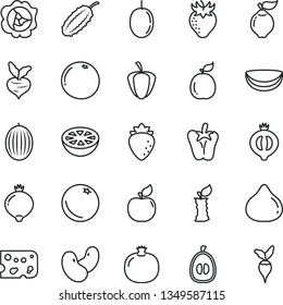 thin line vector icon set - piece of cheese vector, peper, orange, pomegranate, squash, quince, apricot, raspberry, strawberry, fig, medlar, half, melon, loquat, passion fruit, guava, coconut, beet