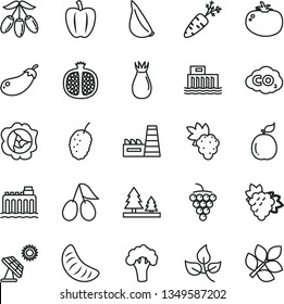 thin line vector icon set - tomato vector, garlic, half pomegranate, grape, branch of, large, squash, rose hip, cornels, tasty mulberry, goji berry, slice tangerine, guava, Bell pepper, carrot
