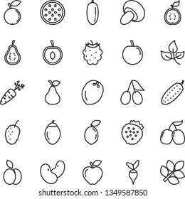 thin line vector icon set - porcini vector, cucumber, strawberries, apple, pear, red, cornels, blackberry, blueberry, tasty mulberry, date fruit, plum, half cherry, of passion, tamarillo, sour lime