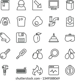 thin line vector icon set - floppy disk vector, monitor, remove label, negative chart, download archive data, book, electronic thermometer e, birthday cake, key, cardiogram, Easter, fried egg, tasty