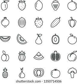 thin line vector icon set - cucumber vector, strawberry, a pineapple, apple, pear, ripe peach, half pomegranate, medlar, blackberry, tasty raspberry, melon, slice of water, delicious plum, tangerine