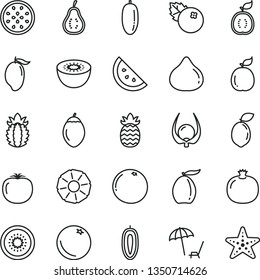 thin line vector icon set - blueberries vector, orange slice, pomegranate, fig, mango, loquat, date fruit, sweet, kiwi, half of, passion, tamarillo, sour lime, guava, guawa, ripe pineapple, part
