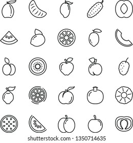 thin line vector icon set - cucumber vector, apple, peach, ripe, pomegranate, quince, red, tasty mulberry, slice of melon, water, mango, loquat, half, tangerine, plum, lemon, yellow, juicy, kiwi