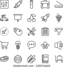 thin line vector icon set - hat with glasses vector, small tools, left bottom arrow, speech, case, regulator, no sound, cart, bacon, blueberries, cherry, large grape, water melon, bulb, electric car