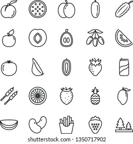 thin line vector icon set - barbecue vector, garlic, French fries, soda can, strawberry, a pineapple, ripe peach, apple, apricot, plum, tasty raspberry, slice of water melon, mango, goji berry