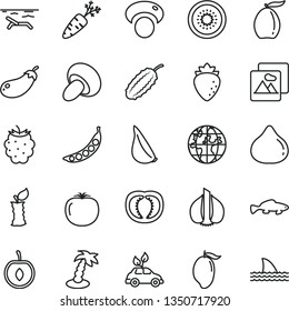 thin line vector icon set - picture vector, porcini, garlic, small fish, raspberry, fig, blackberry, mango, loquat, half cherry, of kiwi, apple stub, persimmon, tomato, carrot, peas, mashroom, beach