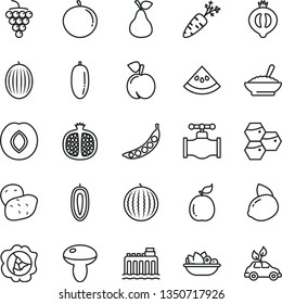 thin line vector icon set - mushroom vector, a bowl of buckwheat porridge, plate fruit, pear, honeycombs, peach, half pomegranate, large grape, squash, plum, medlar, melon, water, date, tangerine