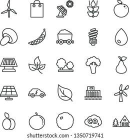 thin line vector icon set - saving light bulb vector, drop, porcini, cabbage, apple, pear, mint, tangerine, delicious, peas, broccoli, solar panel, big, leaves, leaf, windmill, wind energy, trees