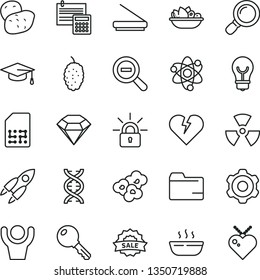 thin line vector icon set - zoom out vector, folder, cogwheel, calculation, broken heart, key, bulb, hot porridge, a plate of fruit, popcorn, mulberry, potato, SIM, sale, scanner, magnifier, atom