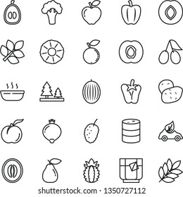 thin line vector icon set - hot porridge vector, peper, a glass of tea, ripe peach, half apricot, pear, red apple, plum, cornels, medlar, blueberry, tasty mulberry, melon, loquat, pineapple, slice