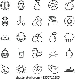 thin line vector icon set - rainy cloud vector, a glass of soda, blueberries, strawberries, pear, honeycombs, ripe peach, plum, cornels, tasty, water melon, half loquat, passion fruit, pineapple